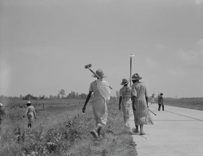 Framed Print : Cotton hoers (day laborers) move from one field across... Mississippi Delta, 1937. Creator: Dorothea Lange Framed Print : Cotton hoers (day laborers) move from one field across... Mississippi Delta, 1937. Creator: Dorothea Lange