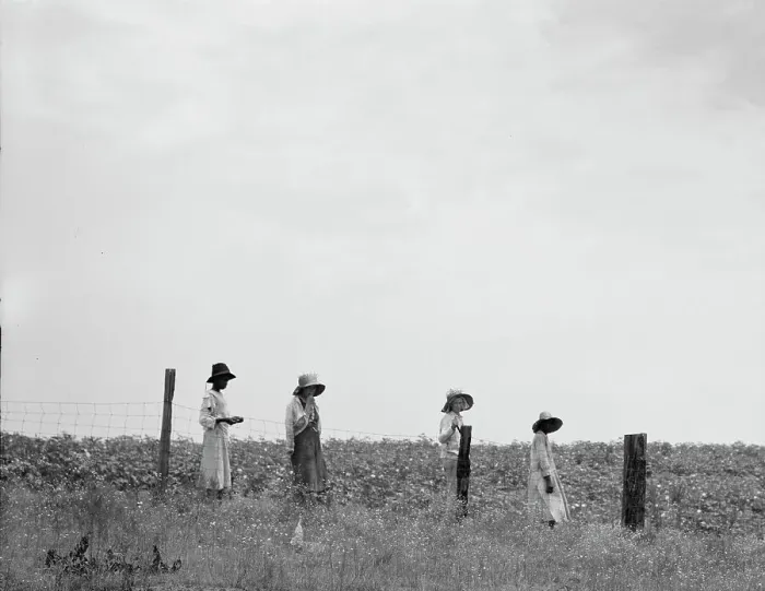 Framed Print : Cotton hoers leaving the fields for lunch, Georgia, 1937. Creator: Dorothea Lange Framed Print : Cotton hoers leaving the fields for lunch, Georgia, 1937. Creator: Dorothea Lange