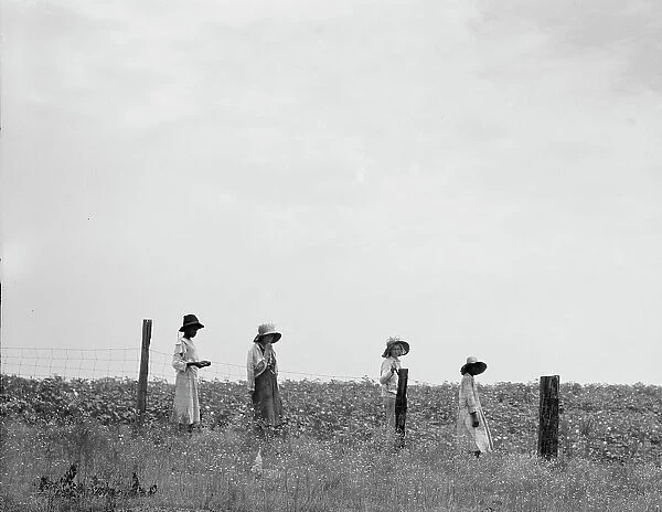 Cotton hoers leaving the fields for lunch, Georgia, 1937. Creator: Dorothea Lange