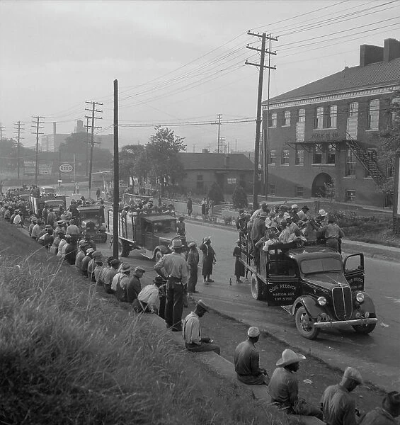 Cotton hoers, Memphis, Tennessee, 1937. Creator: Dorothea Lange