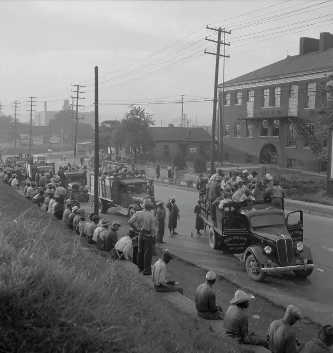 Framed Print : Cotton hoers, Memphis, Tennessee, 1937. Creator: Dorothea Lange Framed Print : Cotton hoers, Memphis, Tennessee, 1937. Creator: Dorothea Lange
