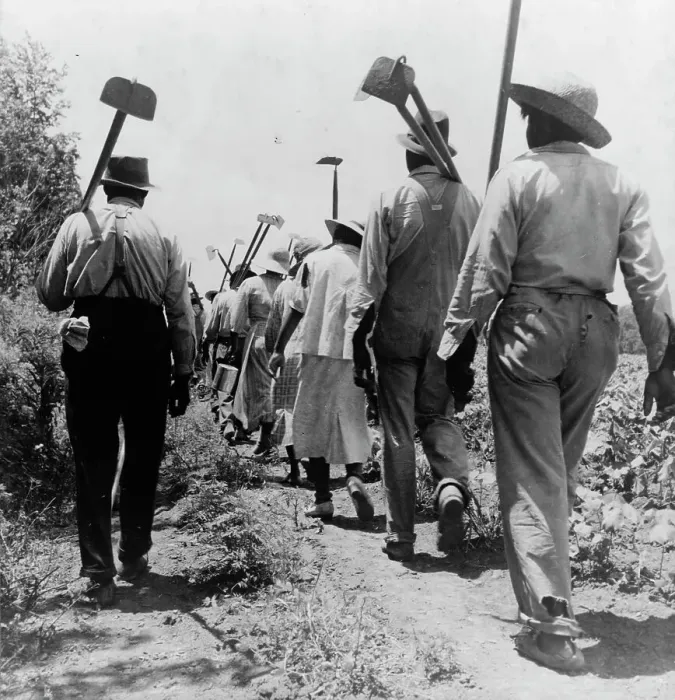 Framed Print : These cotton hoers work from 6 am to 7 pm for one dollar near Clarksdale, Mississippi, 1937. Creator: Dorothea Lange Framed Print : These cotton hoers work from 6 am to 7 pm for one dollar near Clarksdale, Mississippi, 1937. Creator: Dorothea Lange