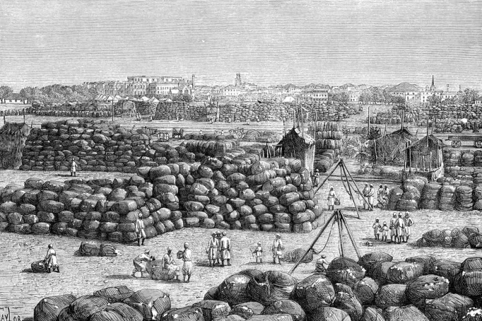 Framed Print : The cotton market at Bombay, India, 1895 Framed Print : The cotton market at Bombay, India, 1895
