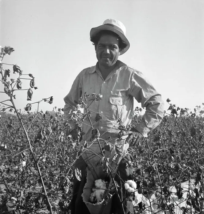 Framed Print : Cotton picker, San Joaquin Valley, California, 1936. Creator: Dorothea Lange Framed Print : Cotton picker, San Joaquin Valley, California, 1936. Creator: Dorothea Lange