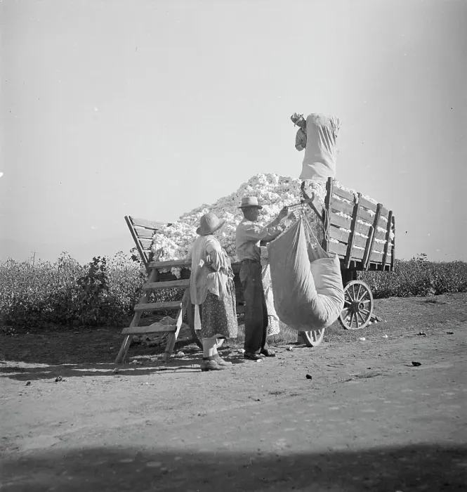 Framed Print : Cotton picker, San Joaquin Valley, California, 1936. Creator: Dorothea Lange Framed Print : Cotton picker, San Joaquin Valley, California, 1936. Creator: Dorothea Lange