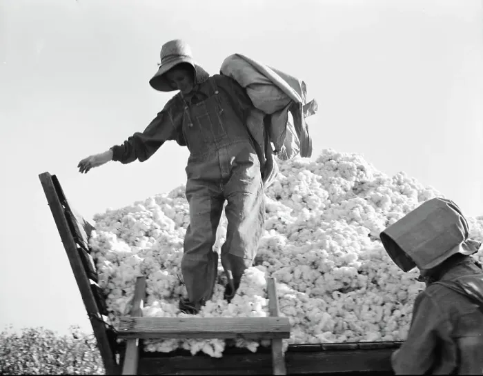Framed Print : Cotton picker, San Joaquin Valley, California, 1936. Creator: Dorothea Lange Framed Print : Cotton picker, San Joaquin Valley, California, 1936. Creator: Dorothea Lange