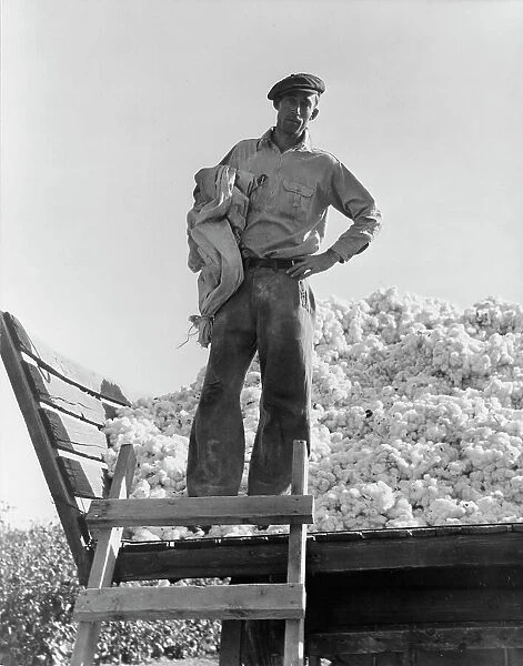 Cotton picker, Southern San Joaquin Valley, California, 1936. Creator: Dorothea Lange