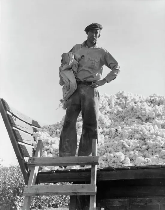 Framed Print : Cotton picker, Southern San Joaquin Valley, California, 1936. Creator: Dorothea Lange Framed Print : Cotton picker, Southern San Joaquin Valley, California, 1936. Creator: Dorothea Lange