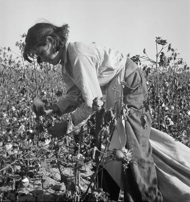 Framed Print : Cotton picker, Southern San Joaquin Valley, California, 1936. Creator: Dorothea Lange Framed Print : Cotton picker, Southern San Joaquin Valley, California, 1936. Creator: Dorothea Lange