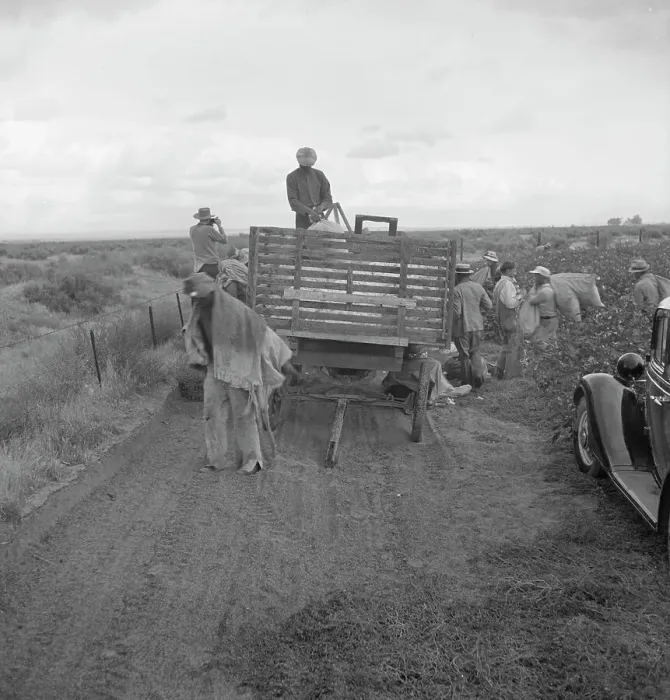 Framed Print : Cotton pickers emptying sacks, Kern County, California, 1938. Creator: Dorothea Lange Framed Print : Cotton pickers emptying sacks, Kern County, California, 1938. Creator: Dorothea Lange