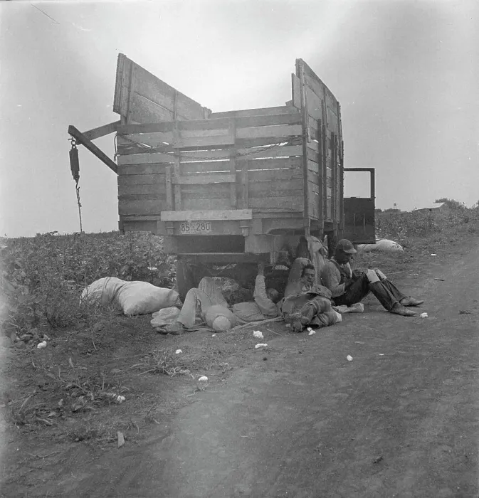 Framed Print : Cotton pickers lunchtime, near Corpus Christi, Texas, 1936. Creator: Dorothea Lange Framed Print : Cotton pickers lunchtime, near Corpus Christi, Texas, 1936. Creator: Dorothea Lange