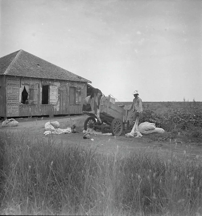 Framed Print : Cotton pickers in south Texas, 1936. Creator: Dorothea Lange Framed Print : Cotton pickers in south Texas, 1936. Creator: Dorothea Lange