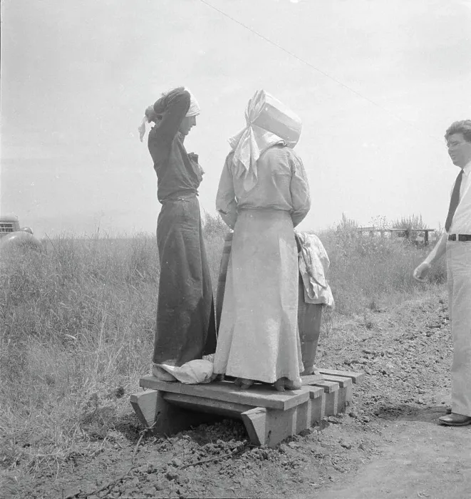 Framed Print : Cotton picking in south Texas, 1936. Creator: Dorothea Lange Framed Print : Cotton picking in south Texas, 1936. Creator: Dorothea Lange