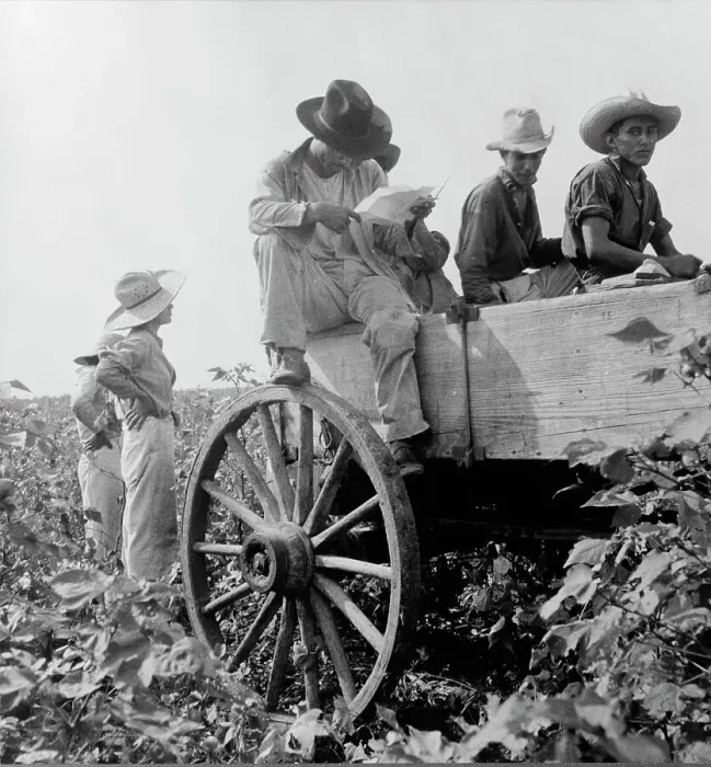 Framed Print : Cotton picking in south Texas, 1936. Creator: Dorothea Lange
