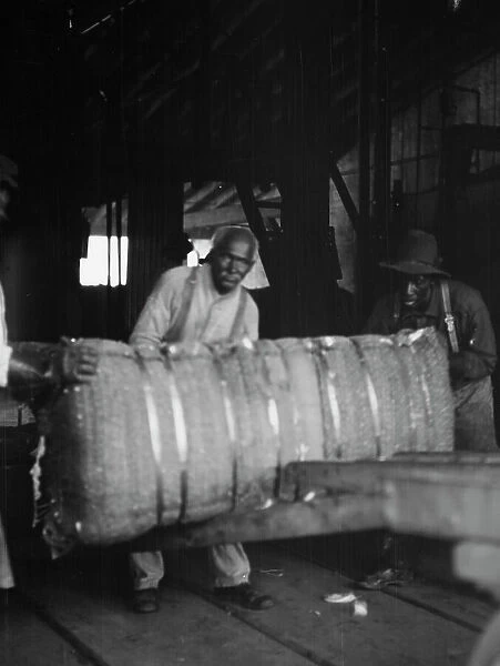 At the cotton press, New Orleans, between 1920 and 1926. Creator: Arnold Genthe