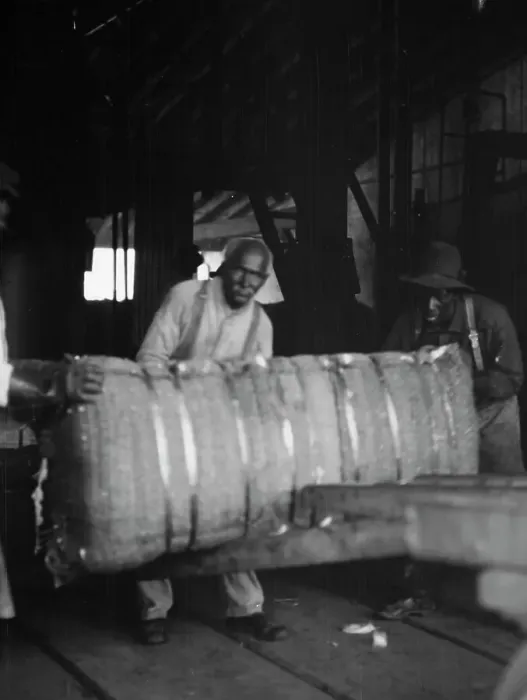 Framed Print : At the cotton press, New Orleans, between 1920 and 1926. Creator: Arnold Genthe Framed Print : At the cotton press, New Orleans, between 1920 and 1926. Creator: Arnold Genthe