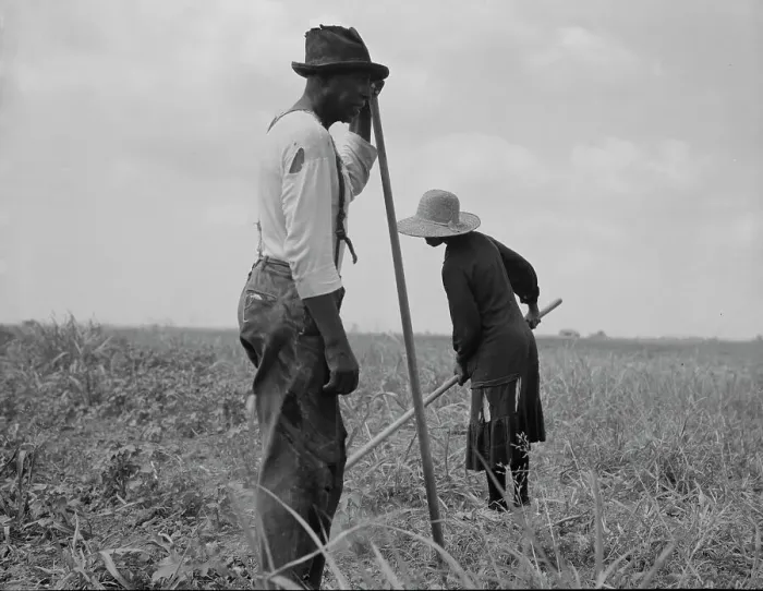 Framed Print : Cotton sharecroppers, Greene County, Georgia, 1937. Creator: Dorothea Lange