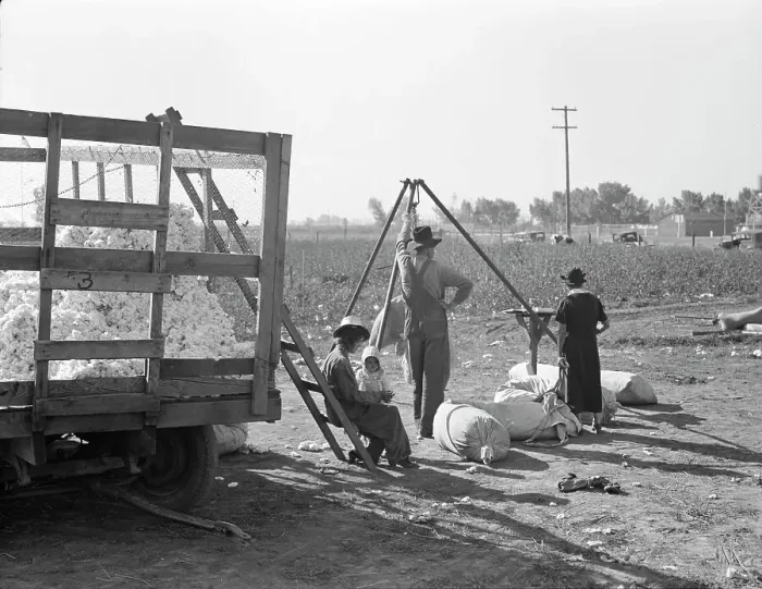 Framed Print : Cotton weigher, Southern San Joaquin Valley, California, 1936. Creator: Dorothea Lange Framed Print : Cotton weigher, Southern San Joaquin Valley, California, 1936. Creator: Dorothea Lange