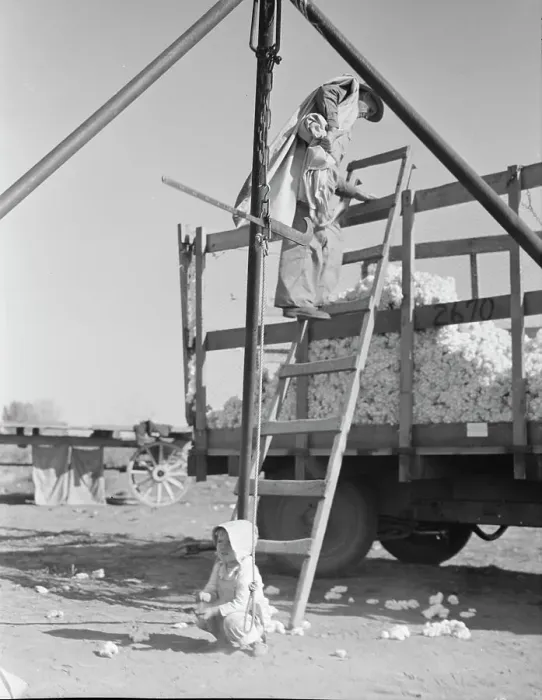 Framed Print : Cotton weigher, Southern San Joaquin Valley, California, 1936. Creator: Dorothea Lange Framed Print : Cotton weigher, Southern San Joaquin Valley, California, 1936. Creator: Dorothea Lange