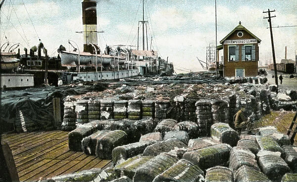 Cotton wharves, New Orleans, Louisiana, USA, early 20th century