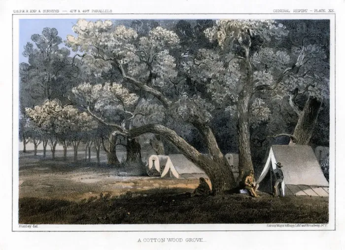 Framed Print : A Cotton Wood Grove, 1856. Artist: John Mix Stanley Framed Print : A Cotton Wood Grove, 1856. Artist: John Mix Stanley