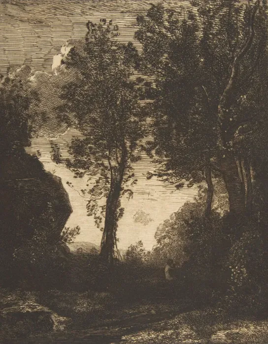 Framed Print : Coucher de soleil, 1858?. Creator: Felix Bracquemond Framed Print : Coucher de soleil, 1858?. Creator: Felix Bracquemond