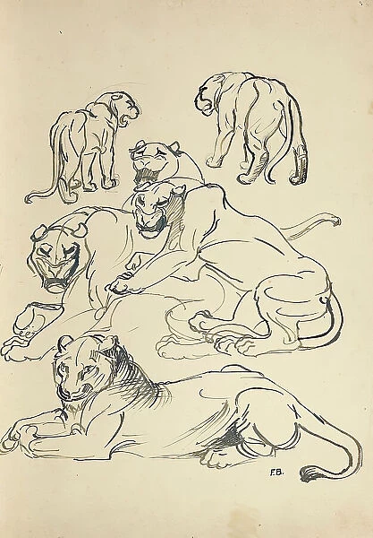 Six cougars, 1914. Creator: Franz Barwig the Elder