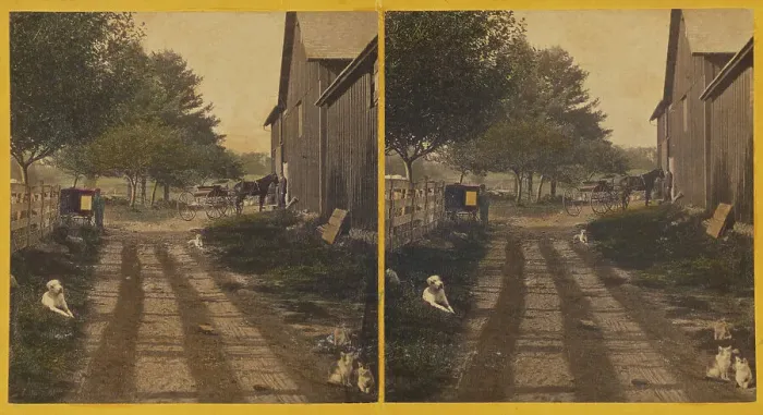 Framed Print : Country road with barn, dogs and cats about, about 1865. Creator: Unknown Framed Print : Country road with barn, dogs and cats about, about 1865. Creator: Unknown