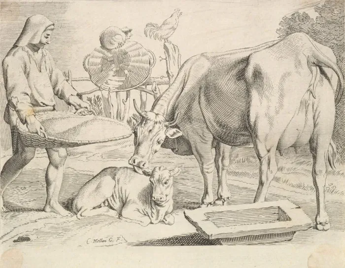 Framed Print : Country Scene with a Peasant, Cow and Calf. Creator: Claude Mellan