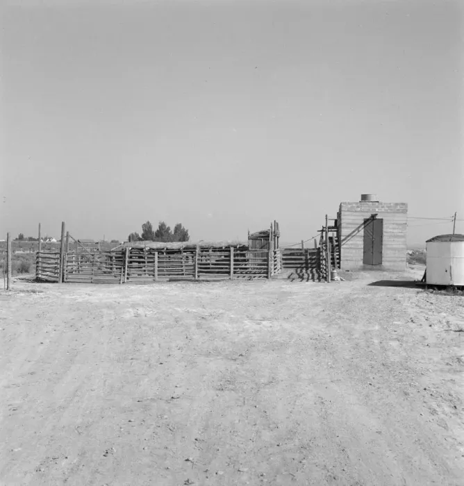 Framed Print : Country slaughterhouse for use of farmers, one mile north of Nyssa, Oregon, 1939. Creator: Dorothea Lange Framed Print : Country slaughterhouse for use of farmers, one mile north of Nyssa, Oregon, 1939. Creator: Dorothea Lange