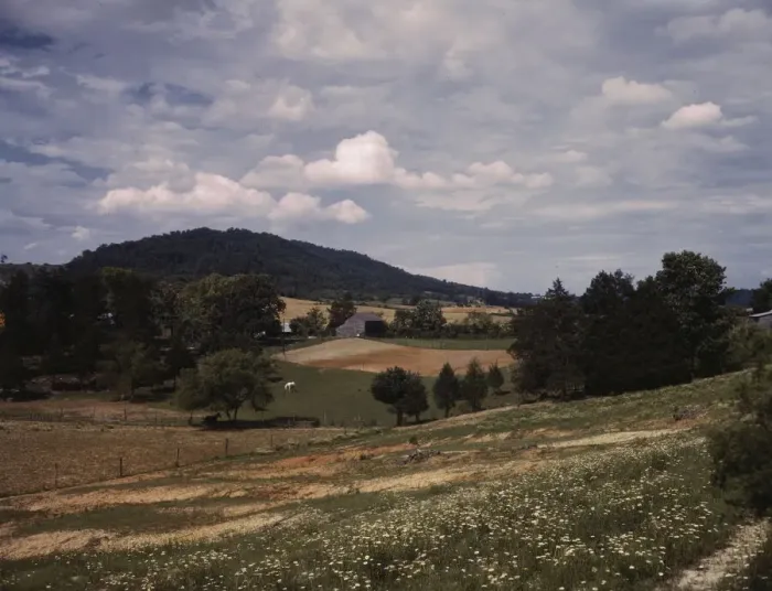 Framed Print : The countryside near the Tennessee Valley Authority dam site, Douglas Dam vicinity, Tenn. 1942. Creator: Alfred T Palmer Framed Print : The countryside near the Tennessee Valley Authority dam site, Douglas Dam vicinity, Tenn. 1942. Creator: Alfred T Palmer