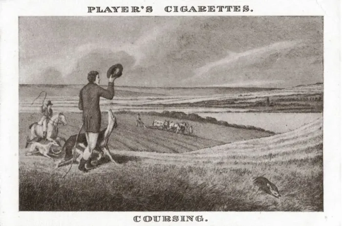 Framed Print : Coursing-(1), (1924). Creator: Unknown Framed Print : Coursing-(1), (1924). Creator: Unknown
