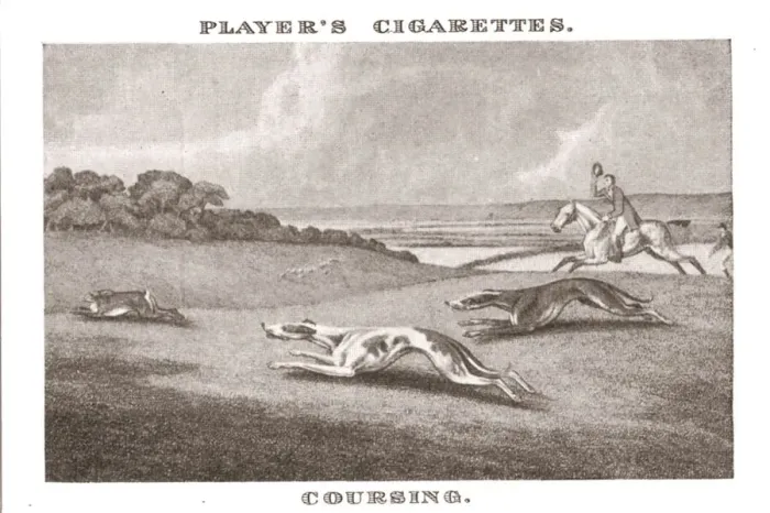 Framed Print : Coursing-(11), (1924). Creator: Unknown Framed Print : Coursing-(11), (1924). Creator: Unknown