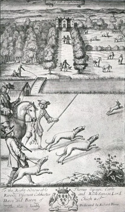 Framed Print : Coursing with Grayhounds, late 17th century, (1911). Creator:s G Framed Print : Coursing with Grayhounds, late 17th century, (1911). Creator:s G