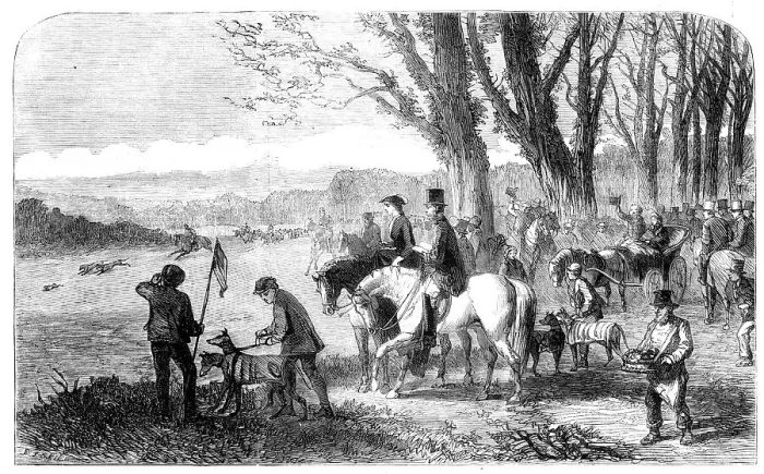 Framed Print : Coursing meeting at Hampton Park, 1860. Creator: Frederick John Skill Framed Print : Coursing meeting at Hampton Park, 1860. Creator: Frederick John Skill