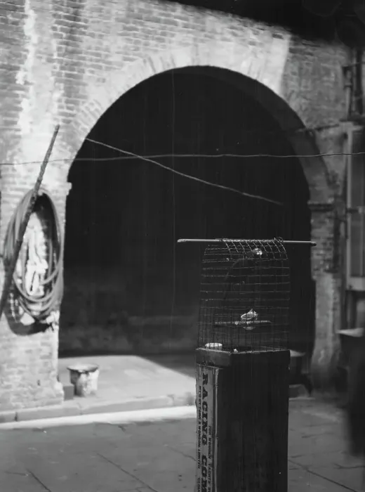 Framed Print : Courtyard, New Orleans, between 1920 and 1926. Creator: Arnold Genthe Framed Print : Courtyard, New Orleans, between 1920 and 1926. Creator: Arnold Genthe