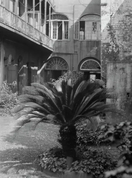 Framed Print : Courtyard, New Orleans, between 1920 and 1926. Creator: Arnold Genthe Framed Print : Courtyard, New Orleans, between 1920 and 1926. Creator: Arnold Genthe