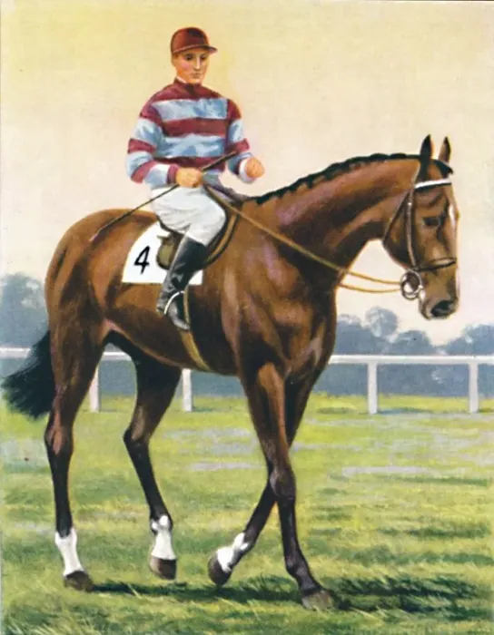Framed Print : Couvert, Jockey: C. Richards, 1939 Framed Print : Couvert, Jockey: C. Richards, 1939