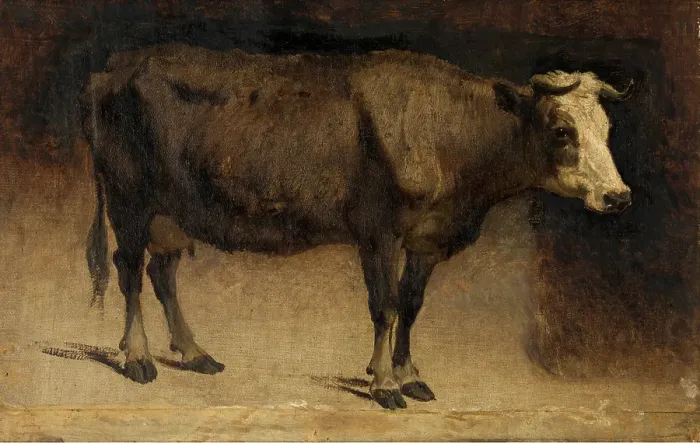 Framed Print : Cow, c1870s. Creator: Andre Plumot Framed Print : Cow, c1870s. Creator: Andre Plumot