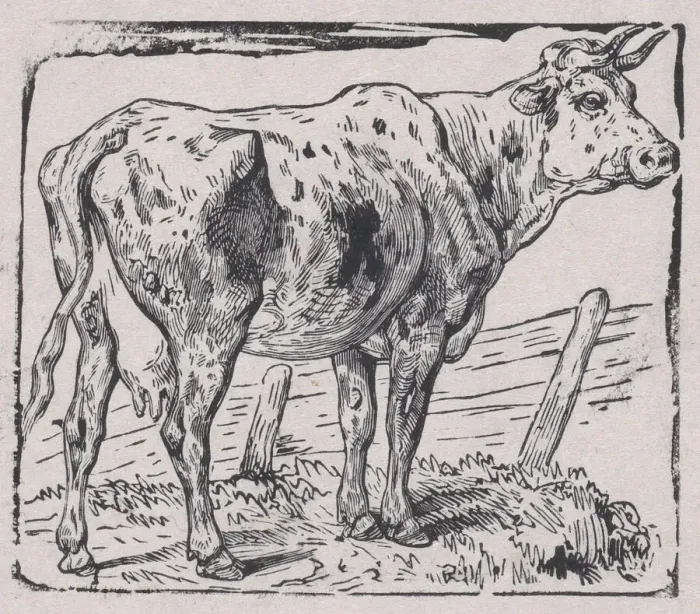 Framed Print : A Cow, ca. 1853. Creator: Charles Emile Jacque Framed Print : A Cow, ca. 1853. Creator: Charles Emile Jacque
