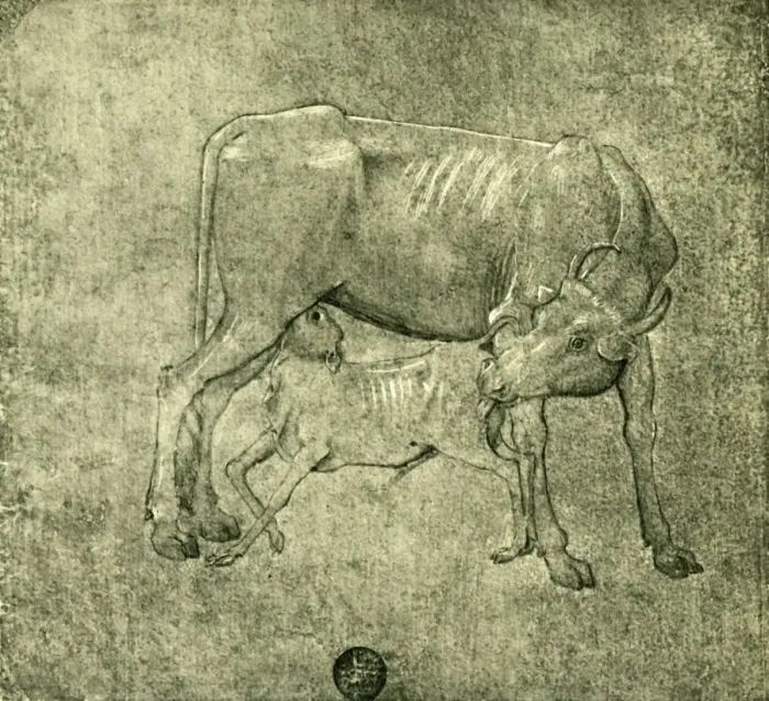 Framed Print : Cow and calf, mid-late 15th centuy, (1943). Creator: Benozzo Gozzoli Framed Print : Cow and calf, mid-late 15th centuy, (1943). Creator: Benozzo Gozzoli