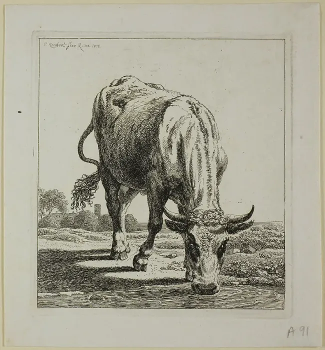 Framed Print : Cow Drinking, from Die Zweite Thierfolge, 1800. Creator: Johann Christian Reinhart Framed Print : Cow Drinking, from Die Zweite Thierfolge, 1800. Creator: Johann Christian Reinhart