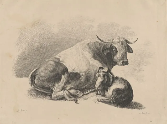 Framed Print : Cow and goat lying down, 1800-01. Creator: Adam von Bartsch Framed Print : Cow and goat lying down, 1800-01. Creator: Adam von Bartsch