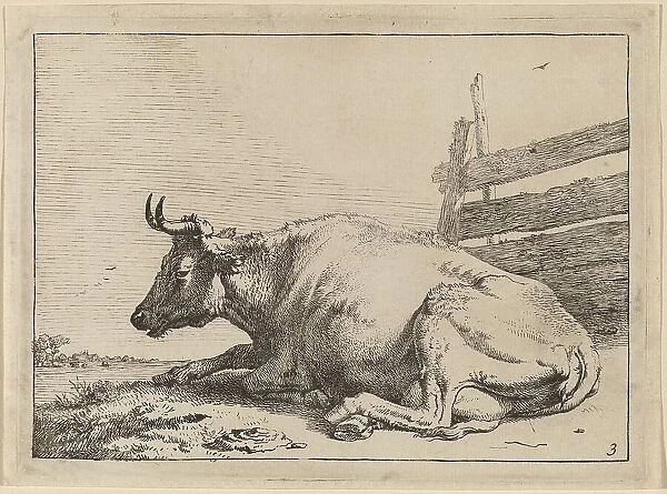 Cow Lying Down near a Fence, 1650. Creator: Paulus Potter