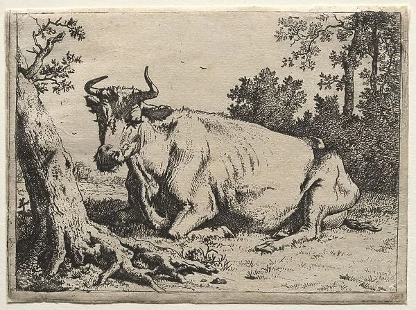 The cow lying down near a tree. Creator: Paulus Potter (Dutch, 1625-1654)