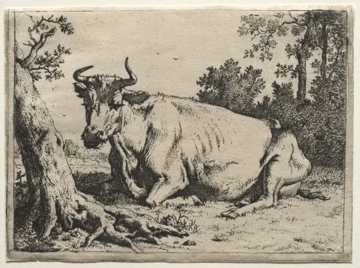 Framed Print : The cow lying down near a tree. Creator: Paulus Potter (Dutch, 1625-1654) Framed Print : The cow lying down near a tree. Creator: Paulus Potter (Dutch, 1625-1654)
