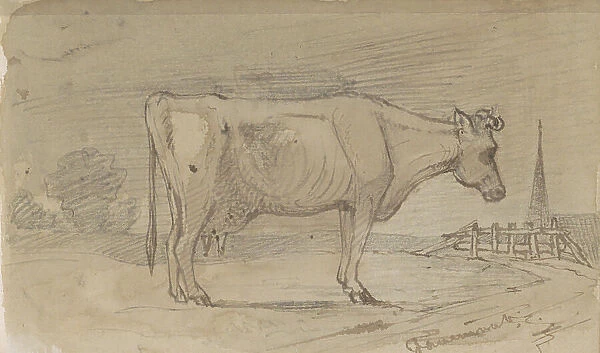 Cow in a meadow, 1864-1880. Creator: Johannes Tavenraat