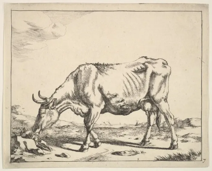 Framed Print : Cow, after Paulus Potter. Creator: Marcus de Bye Framed Print : Cow, after Paulus Potter. Creator: Marcus de Bye