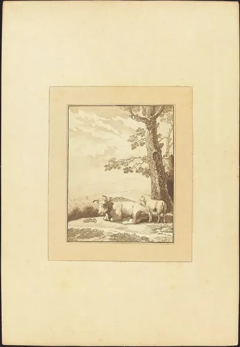 Framed Print : Cow Resting, published 1782. Creator: Regina Schönecker Framed Print : Cow Resting, published 1782. Creator: Regina Schönecker