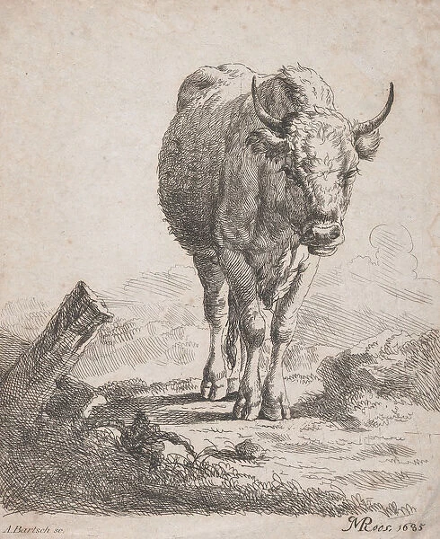 A cow, seen from the front, 1805. Creator: Adam von Bartsch
